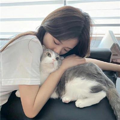 这就是哈里斯